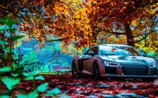 Audi R8 Plus in the autumn