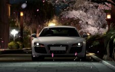 Audi R8 near sakura