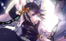 Graceful Fighter Shinobu Kocho