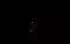 Elden Ring: Shadowed Sentinel