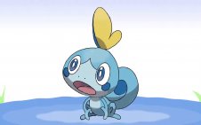 Sobble (Pokemon)