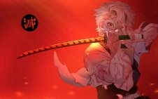 sanemi shinazugawa Swordsmanship