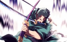 Roronoa Zoro Fighting Stance