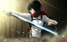 Mikasa Ackerman Warrior