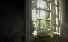 Broken Window (The Last Of Us)