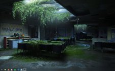 Overgrown School