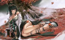 Hanying Zitherwoe (Punishing: Gray Raven)