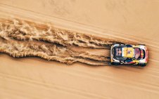 RALLY CAR in Desert (Motorsports)