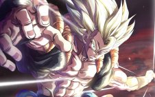 GOGETA from Dragon ball