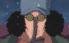 Aokiji kuzan (one piece)