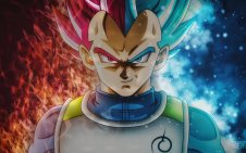 VEGETA from DRAGON BALL Z