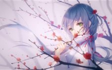 Luo Tianyi (Vocaloid)