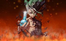 Dr. Stone