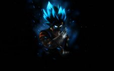 Vegito (SSGSS)