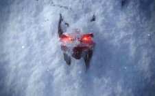 Wolf with Red Eyes (The Witcher)