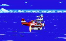 Sonic on plane