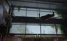 The Arcade (the last of us)