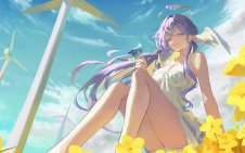 Robin  in the Flower Field