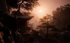 Foggy Forest (Wukong )