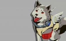 Koromaru (Persona 3 Reload)