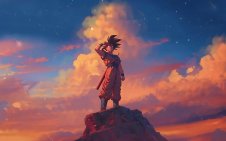 Goku The Saiyan Hero