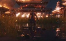 Sekiro Amidst the Flames