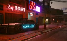 Police (cyberpunk 2077)