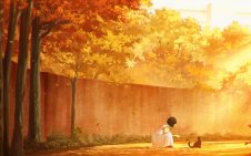 Cozy Autumn with Cat