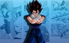 vegito from Dragon Ball