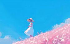 Field of Cherry Blossom