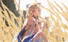 Cartethyia in Sunlit Wheat