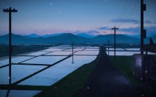 Starlight Over the Flooded Fields