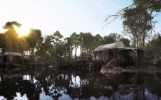 Sunrise Over the Bayou - Hunt Showdown