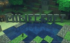 Enter the World of Minecraft
