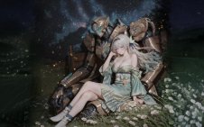 Firefly under the starry sky (HSR)