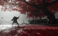 Samurai Under Maple