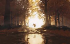 Path of Fallen Leaves