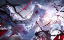 Hiyuki Winter Fury
