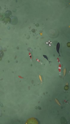 koi pond serenity live wallpaper