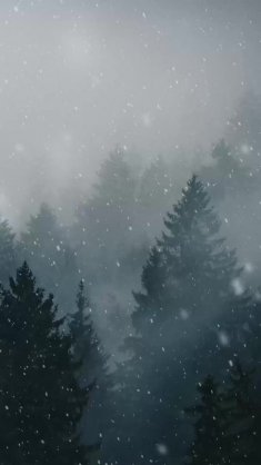 snowfall in forest animated wallpaper