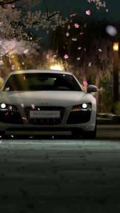 audi r8 parked at night live wallpaper