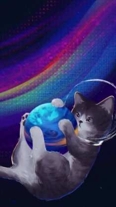 cat in space live wallpaper