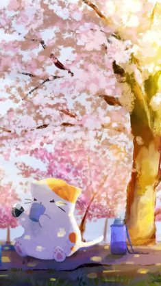 cat near sakura live wallpaper