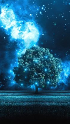 starry sky and tree live wallpaper