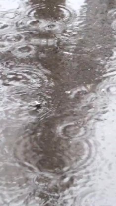 rain live wallpaper