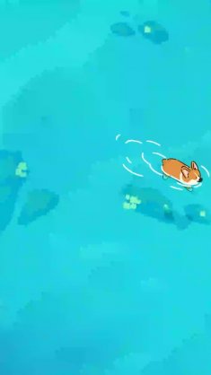 cute corgi swimming live wallpaper