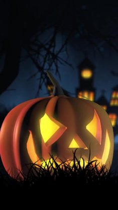 pumpkin lantern live wallpaper