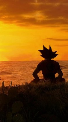 goku meditating while facing the sunset live wallpaper