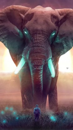 fantasy elephant live wallpaper