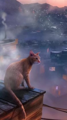 red tabby cat live wallpaper
